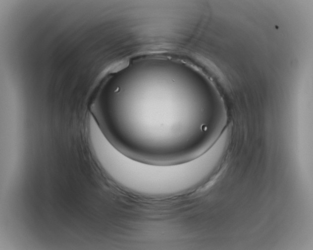 X0000113761457200910071122