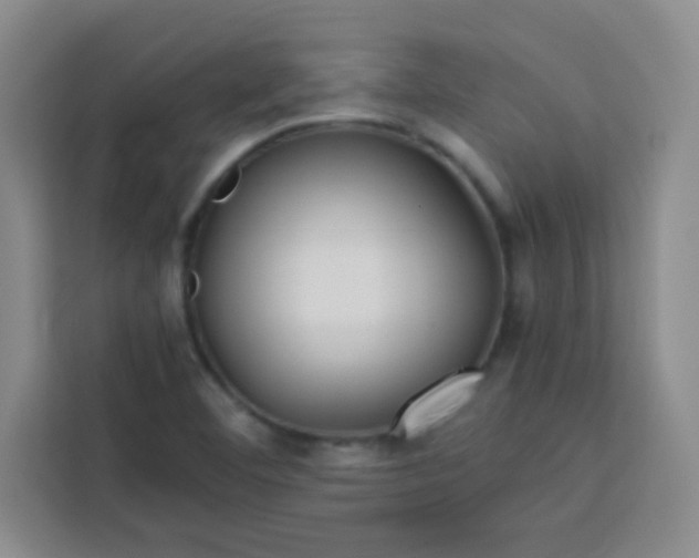 X0000113761460200910071122