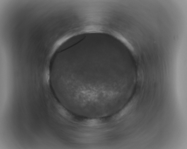 X0000113761461200910071122