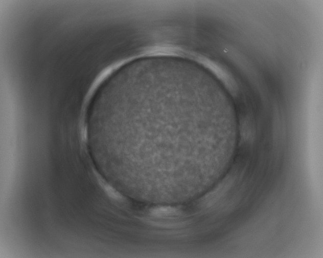 X0000113761462200910071122