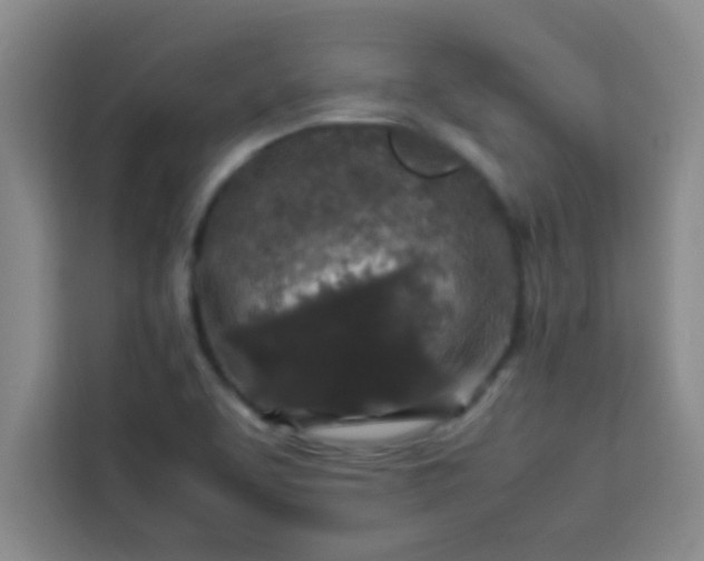 X0000113761463200910071122