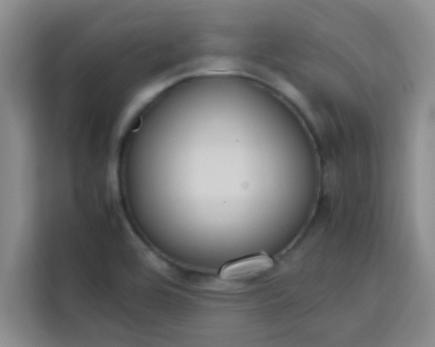 X0000113761464200910071122