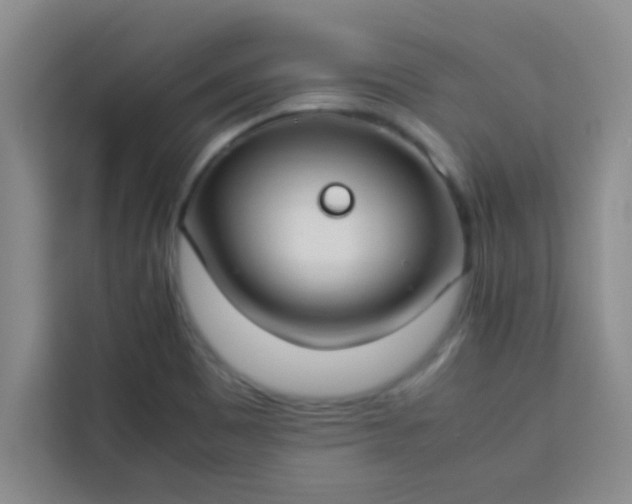 X0000113761465200910071122