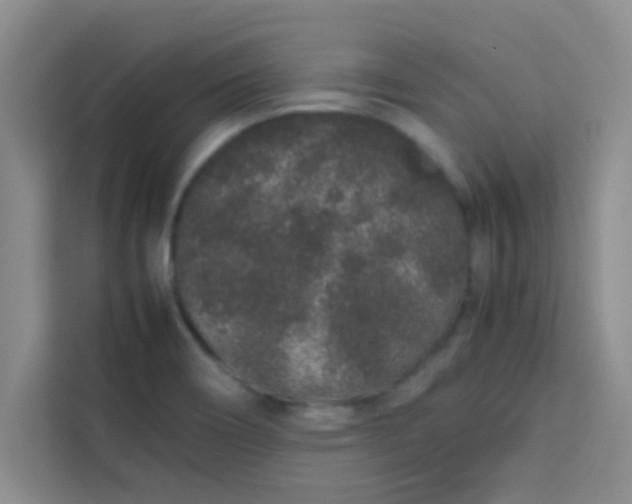 X0000113761466200910071122