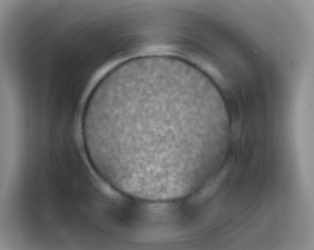 X0000113761470200910071122