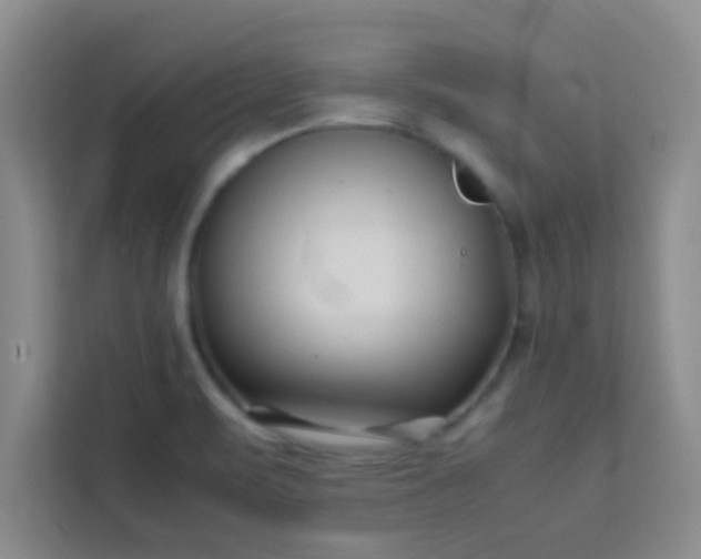 X0000113761471200910071122