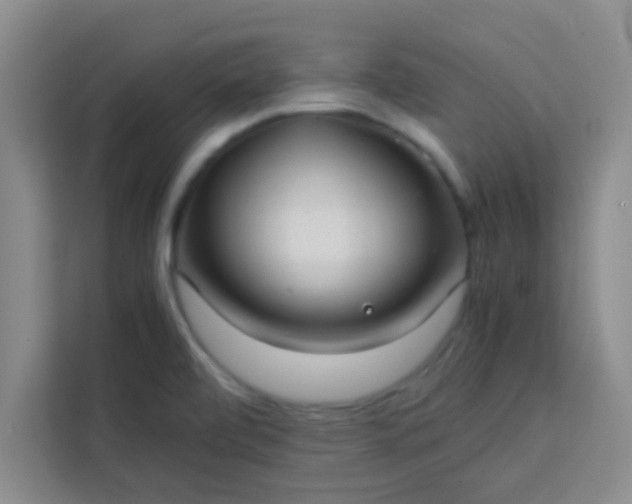 X0000113761472200910071122