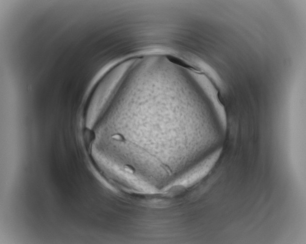 X0000113761476200910071122