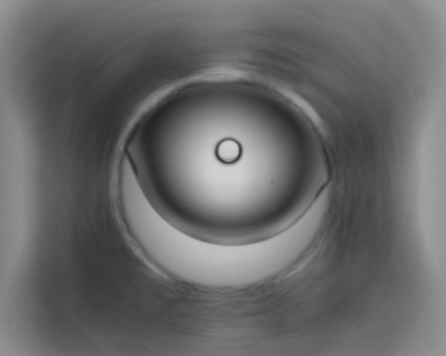 X0000113761477200910071122