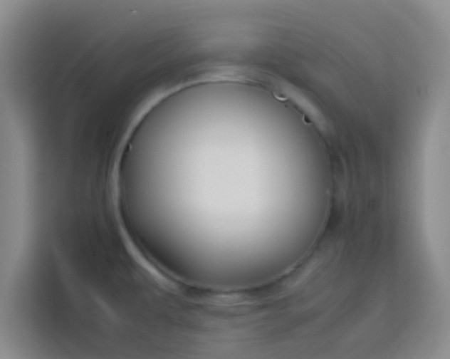 X0000113761479200910071122
