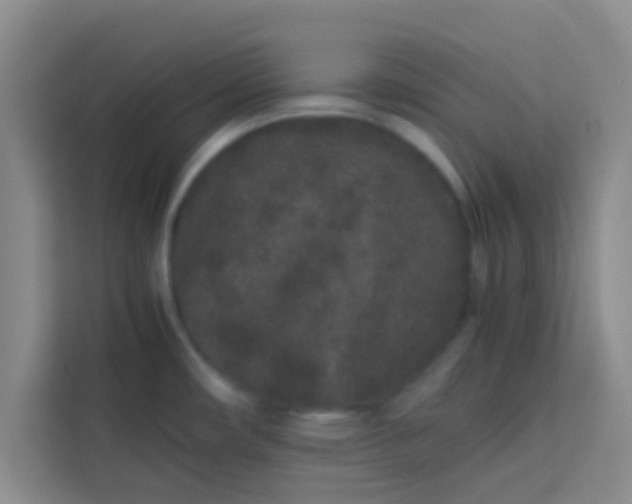 X0000113761482200910071121