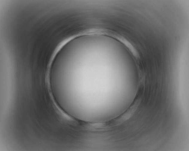 X0000113761486200910071121
