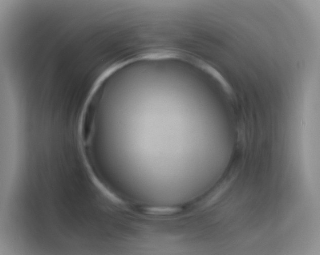 X0000113761487200910071121