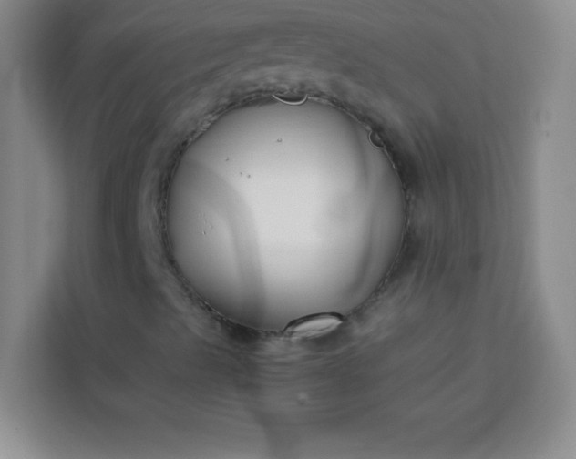 X0000113761489200910071121