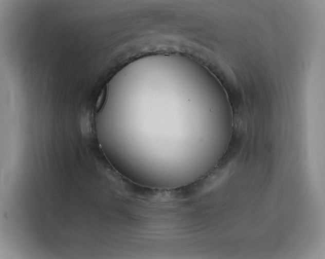 X0000113761490200910071121