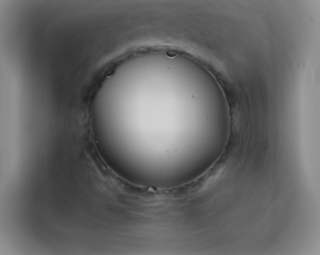 X0000113761494200910071121