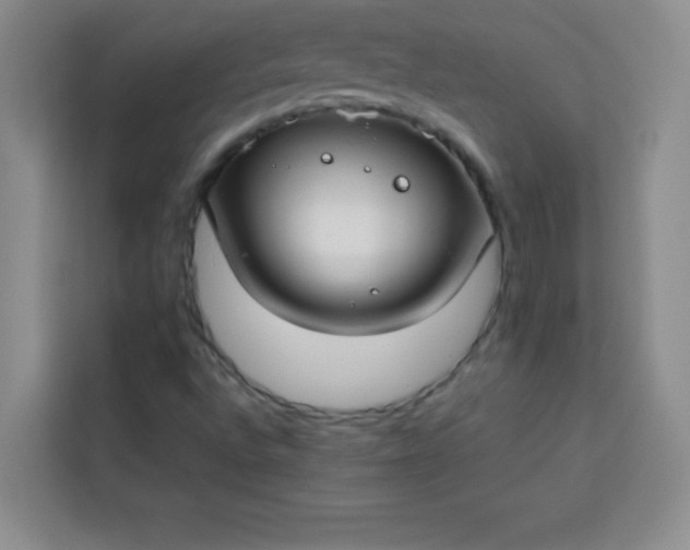 X0000113761496200910071121