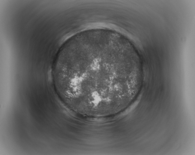 X0000113761497200910071121