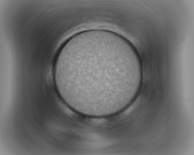 X0000113761498200910071121