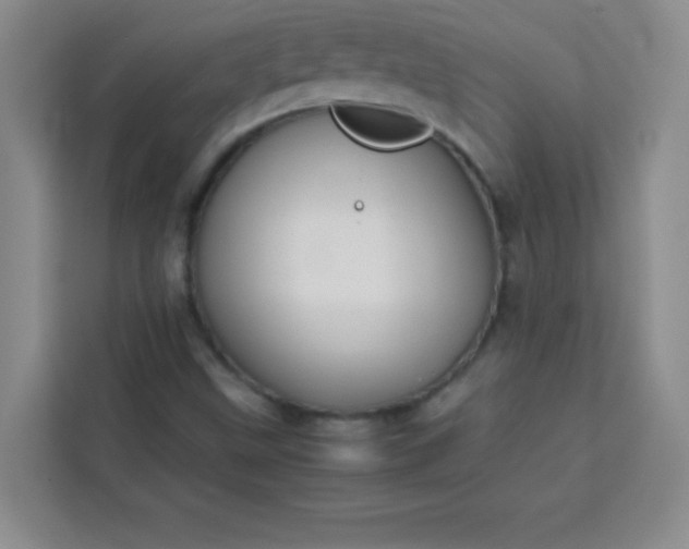 X0000113761499200910071121