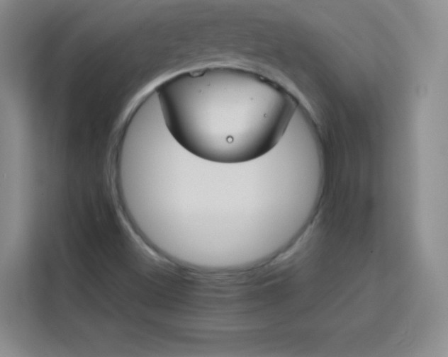 X0000113761500200910071121