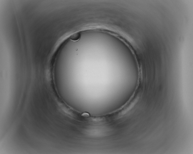 X0000113761501200910071121