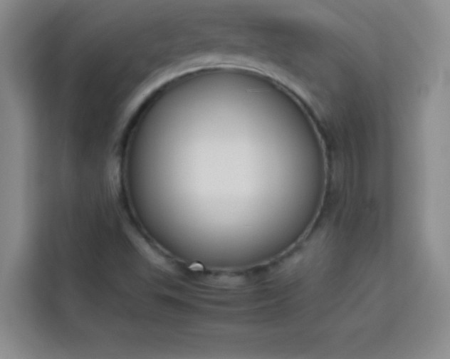X0000113761503200910071121