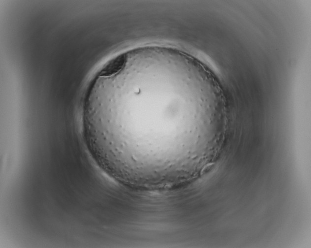 X0000113761504200910071121