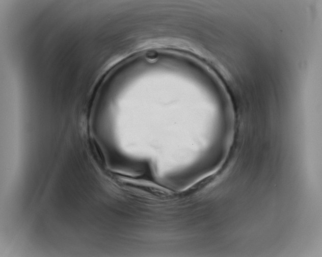 X0000113761505200910071121