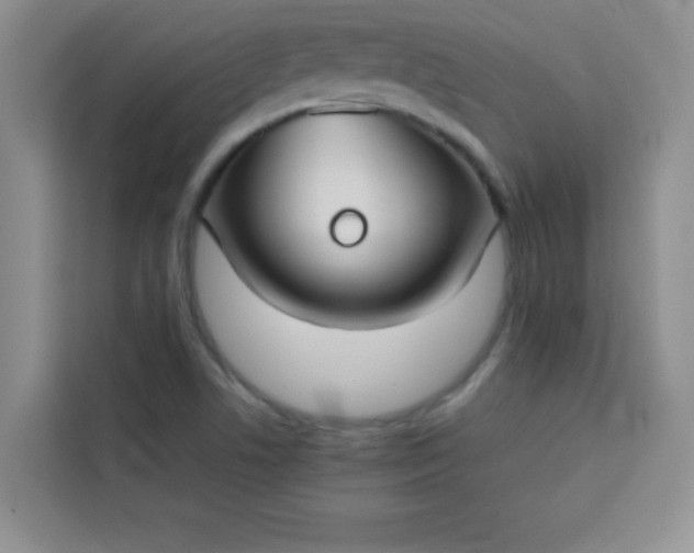 X0000113761506200910071121