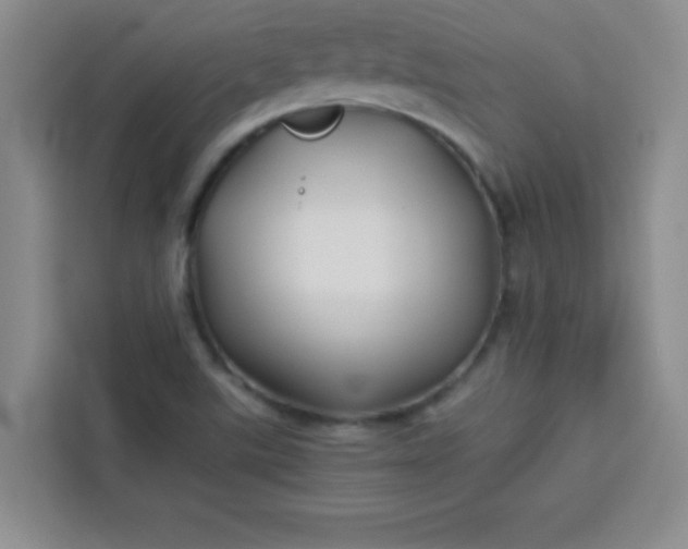 X0000113761507200910071121