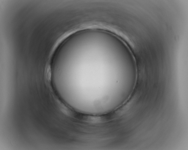 X0000113761509200910071121