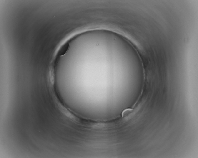 X0000113761510200910071121
