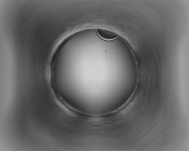 X0000113761511200910071121