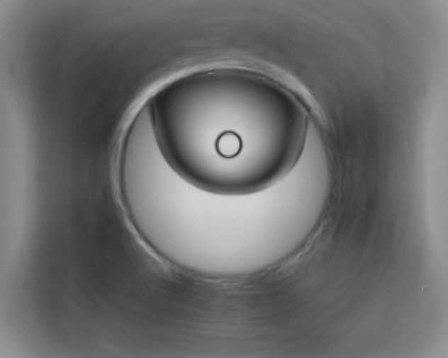 X0000113761512200910071121
