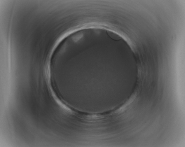 X0000113761515200910071121