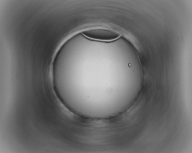 X0000113761516200910071121