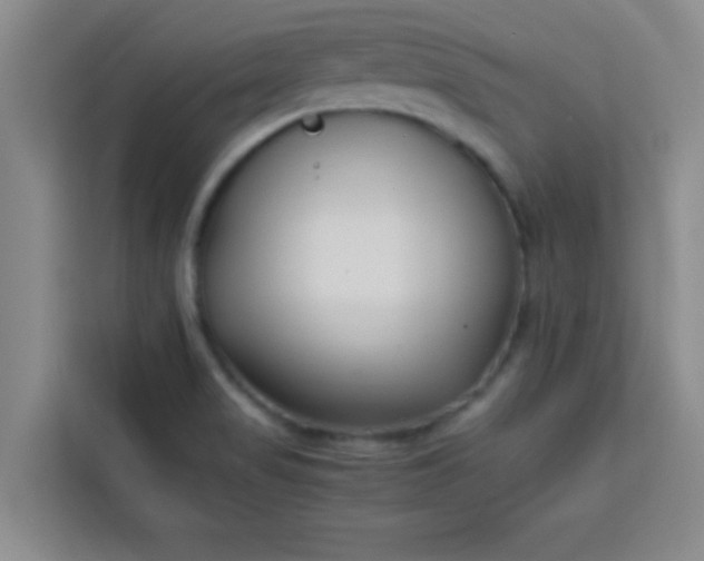 X0000113761517200910071121