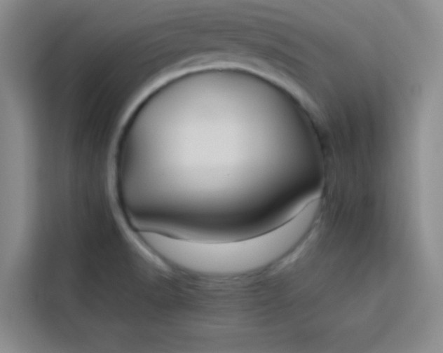 X0000113761518200910071121