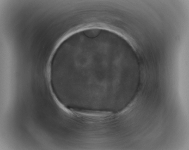 X0000113761519200910071121
