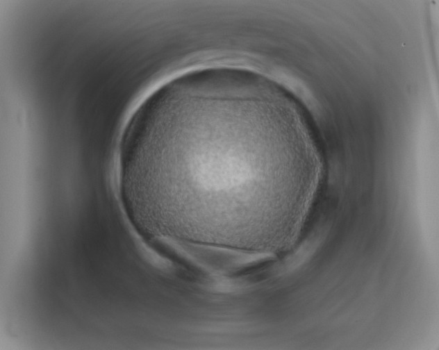 X0000113761520200910071121