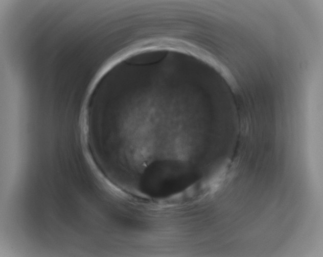 X0000113761522200910071121