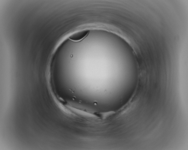 X0000113761523200910071121
