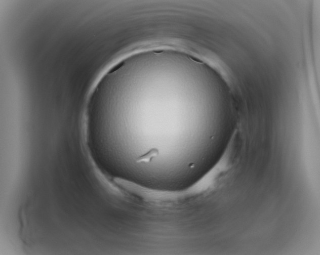 X0000113761524200910071121