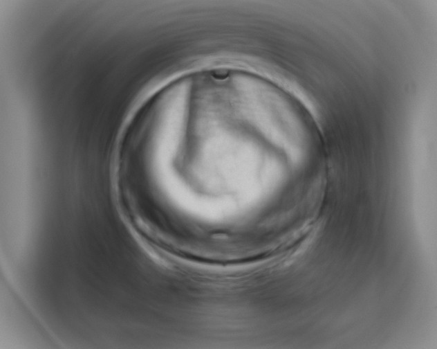 X0000113761525200910071121