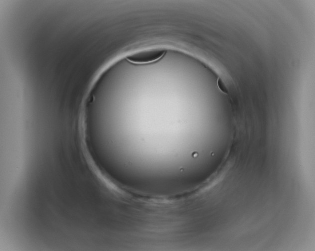 X0000113761526200910071121