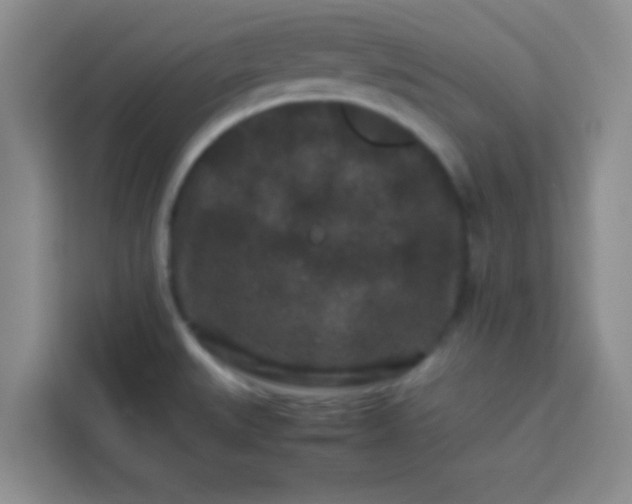 X0000113761527200910071121