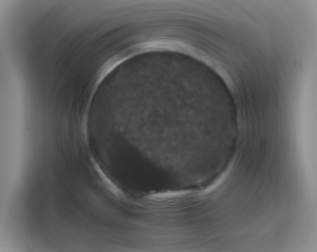 X0000113761529200910071121