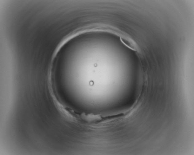 X0000113761530200910071121