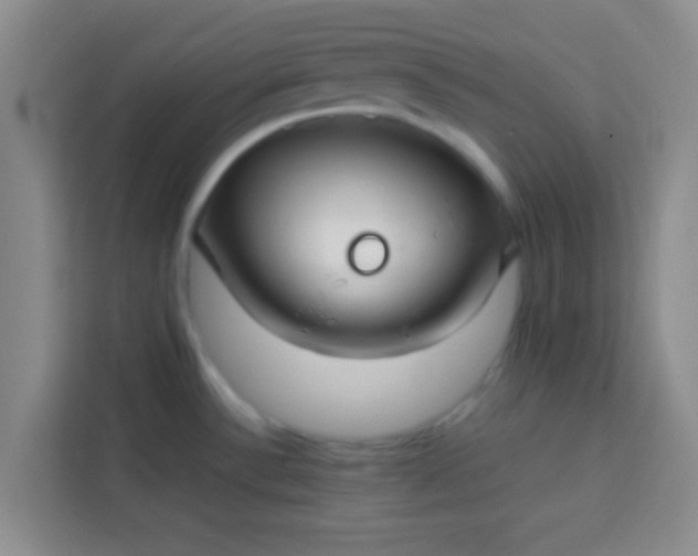 X0000113761532200910071121